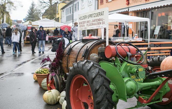 GroÃer TrÃ¶delmarkt in PlÃ¼derhausen_18