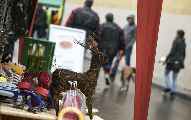 GroÃer TrÃ¶delmarkt in PlÃ¼derhausen_22