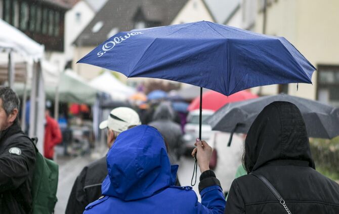 GroÃer TrÃ¶delmarkt in PlÃ¼derhausen_30
