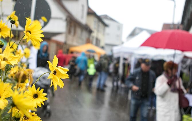 GroÃer TrÃ¶delmarkt in PlÃ¼derhausen_31