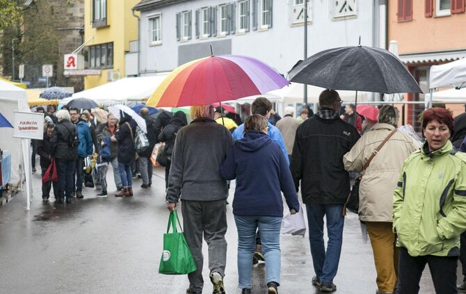 GroÃer TrÃ¶delmarkt in PlÃ¼derhausen_44