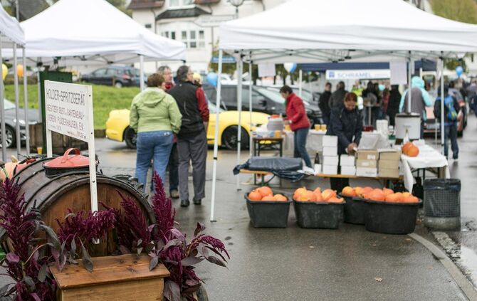 GroÃer TrÃ¶delmarkt in PlÃ¼derhausen_45