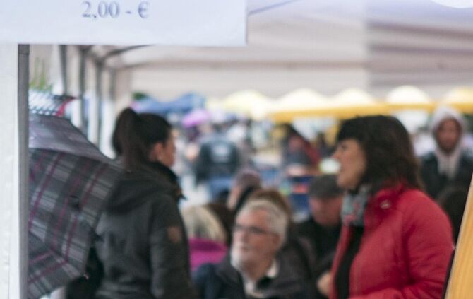 GroÃer TrÃ¶delmarkt in PlÃ¼derhausen_46