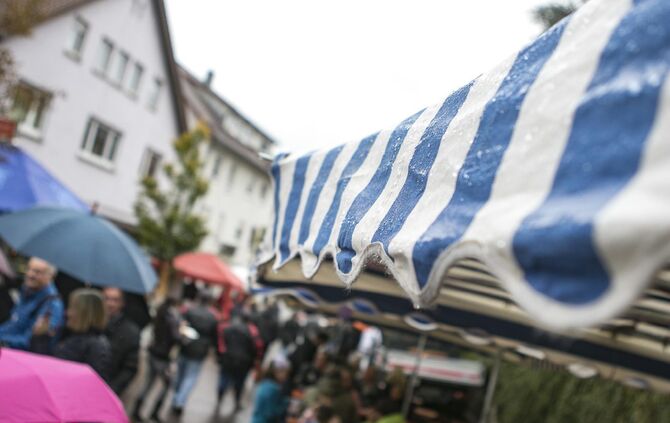 GroÃer TrÃ¶delmarkt in PlÃ¼derhausen_49