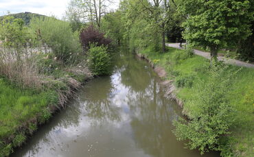 Wieslauf 