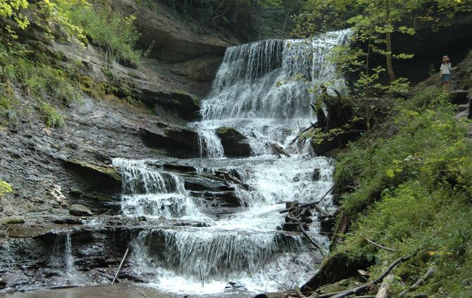 13f1e134-3841-4a7a-8c9a-420ef467a810.jpg_0