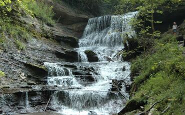 13f1e134-3841-4a7a-8c9a-420ef467a810.jpg_0