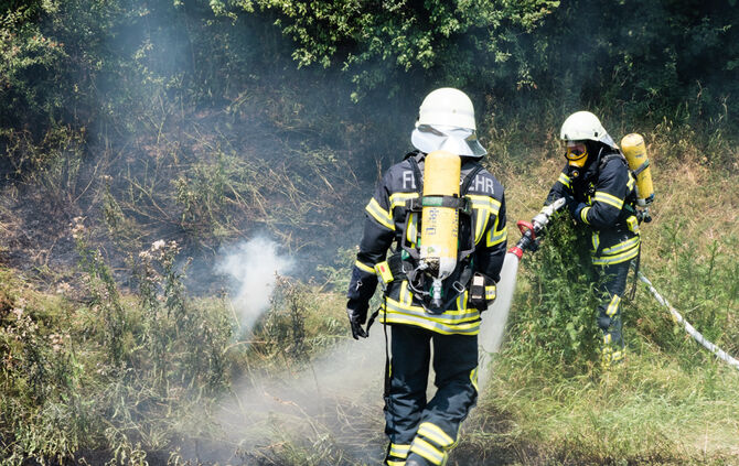 Mehrere Flächenbrände an der B 14 - Bild 06_0