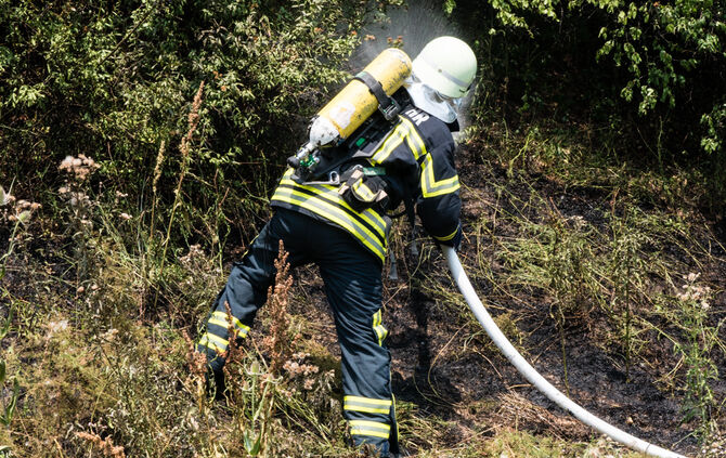 Mehrere Flächenbrände an der B 14 - Bild 08_5
