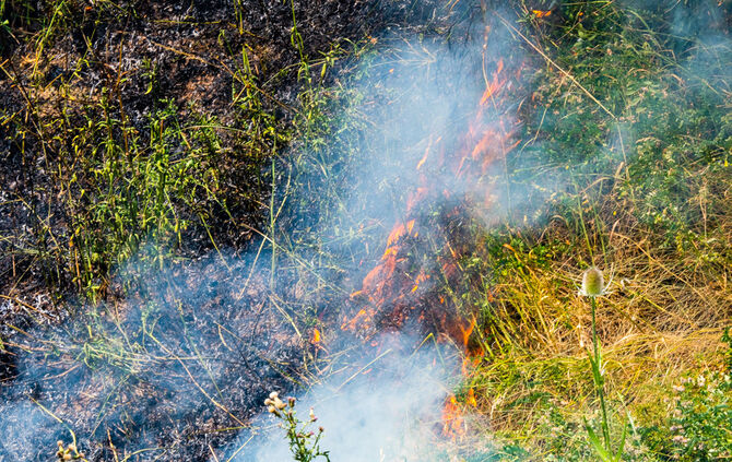 Mehrere Flächenbrände an der B 14 - Bild 05_7