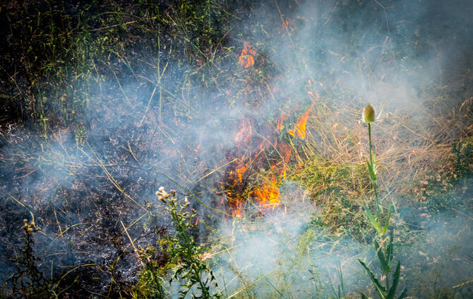 Mehrere Flächenbrände an der B 14 - Bild 04_8