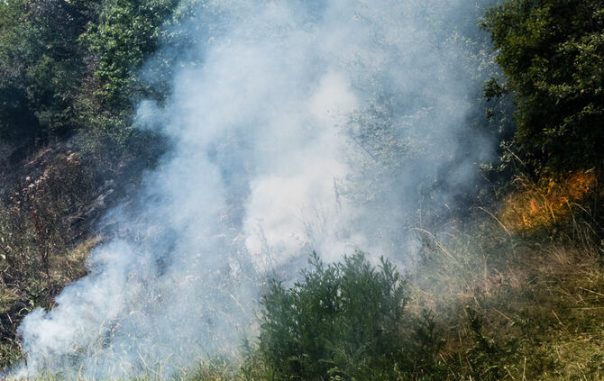Mehrere Flächenbrände an der B 14 - Bild 01_11