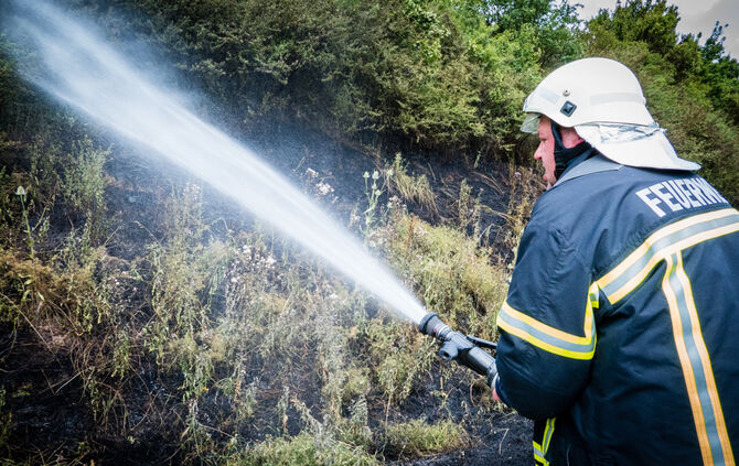 Mehrere Flächenbrände an der B 14 - Bild 20_14