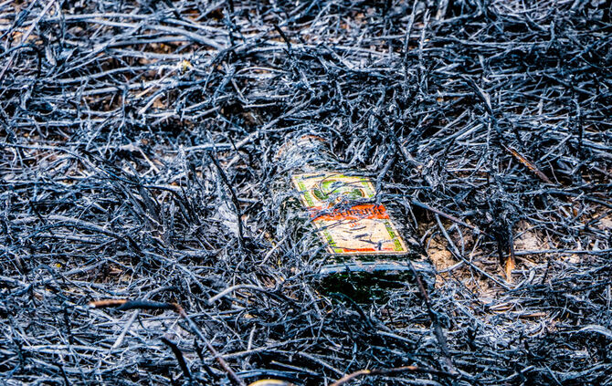 Mehrere Flächenbrände an der B 14 - Bild 19_15