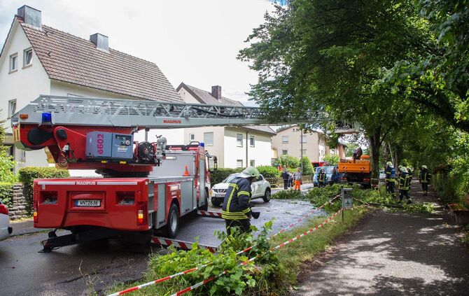 Eine Sturmböe riss am Donnerstag große Äste von einem Baum in der Dammstraße._0