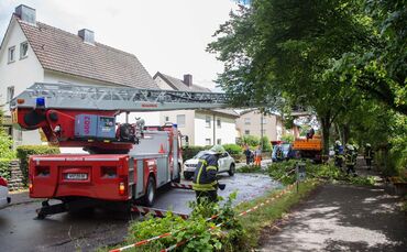 Eine Sturmböe riss am Donnerstag große Äste von einem Baum in der Dammstraße._0