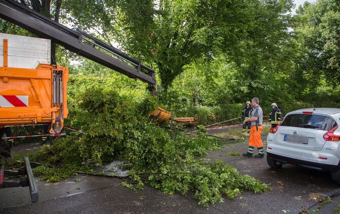 Eine Sturmböe riss am Donnerstag große Äste von einem Baum in der Dammstraße._1