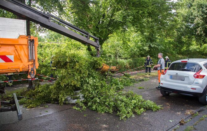 Eine Sturmböe riss am Donnerstag große Äste von einem Baum in der Dammstraße._3