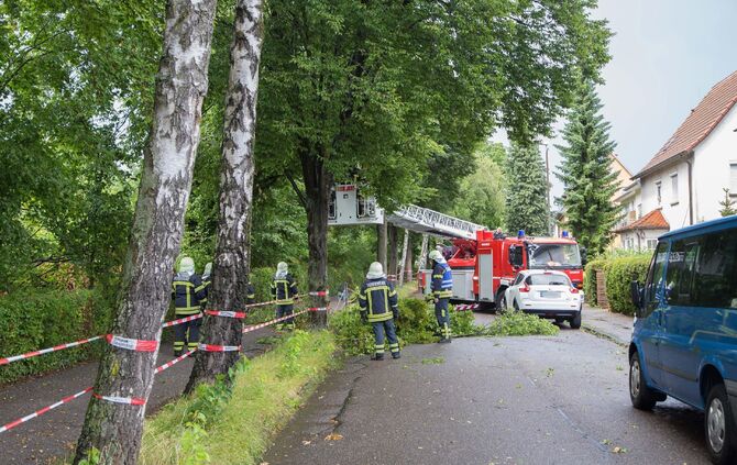 Eine Sturmböe riss am Donnerstag große Äste von einem Baum in der Dammstraße._4
