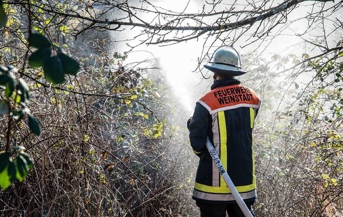 Über 400 qm Wiese und Sträucher in Brand - Bild 22_0
