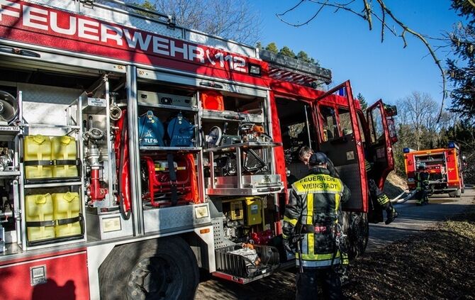 Über 400 qm Wiese und Sträucher in Brand - Bild 26_1