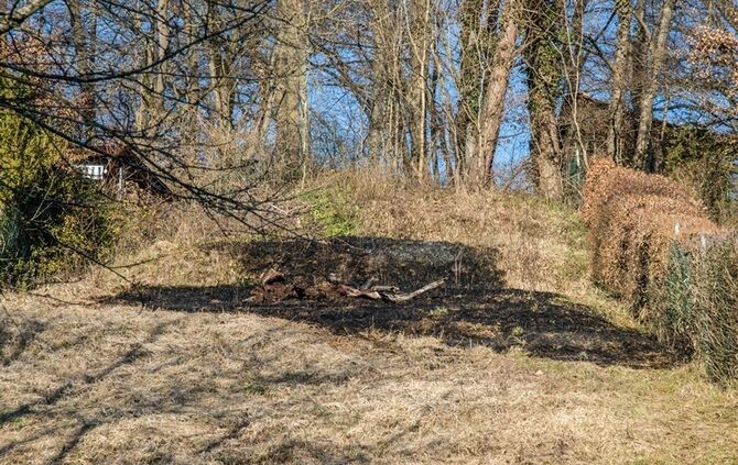 Über 400 qm Wiese und Sträucher in Brand - Bild 25_2