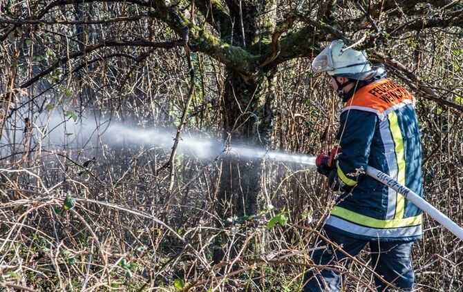 Über 400 qm Wiese und Sträucher in Brand - Bild 24_3