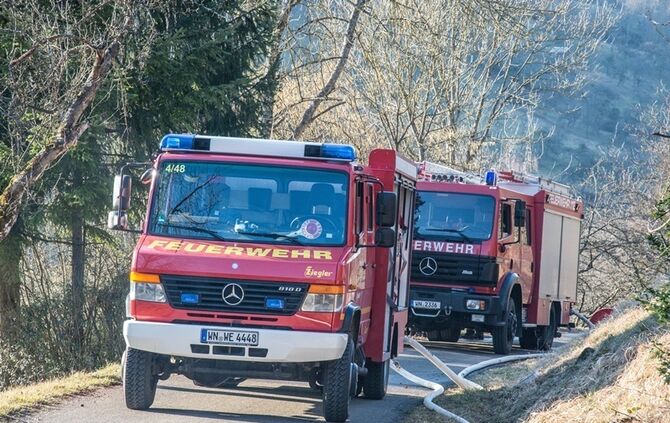 Über 400 qm Wiese und Sträucher in Brand - Bild 23_4