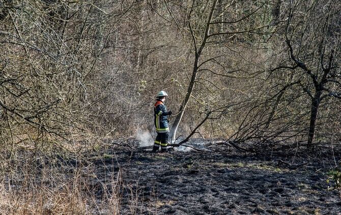 Über 400 qm Wiese und Sträucher in Brand - Bild 20_5