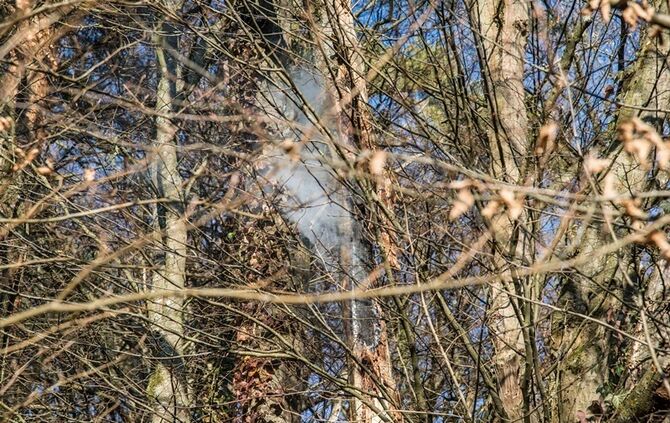 Über 400 qm Wiese und Sträucher in Brand - Bild 18_7