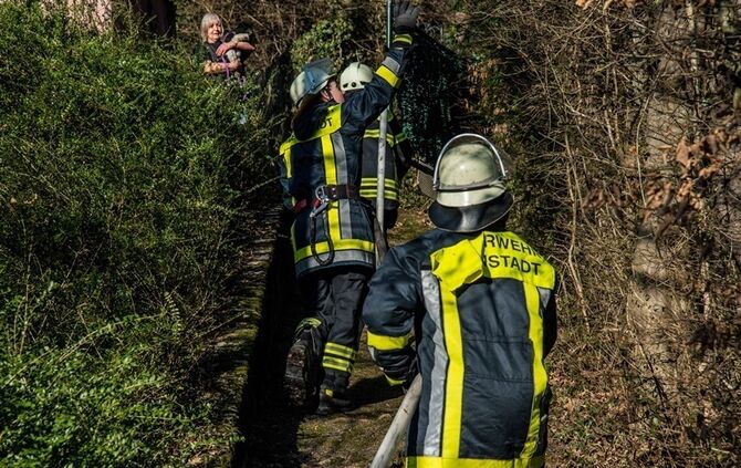 Über 400 qm Wiese und Sträucher in Brand - Bild 17_8