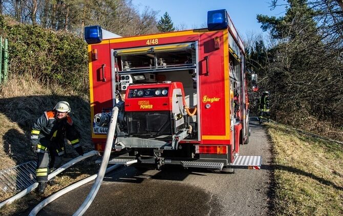 Über 400 qm Wiese und Sträucher in Brand - Bild 16_9
