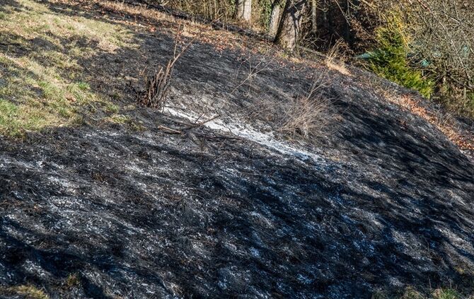 Über 400 qm Wiese und Sträucher in Brand - Bild 13_12