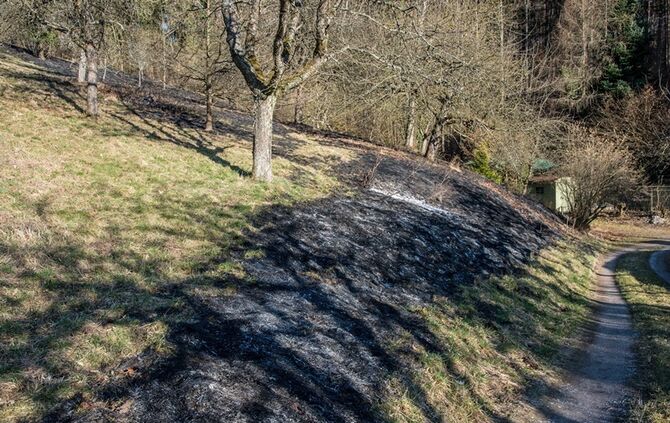 Über 400 qm Wiese und Sträucher in Brand - Bild 12_13