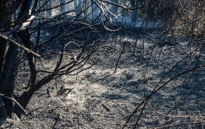 Über 400 qm Wiese und Sträucher in Brand - Bild 10_15