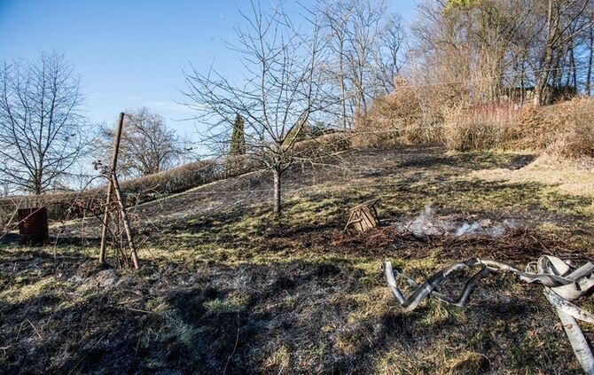 Über 400 qm Wiese und Sträucher in Brand - Bild 08_17