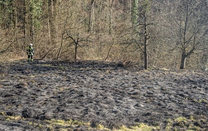 Über 400 qm Wiese und Sträucher in Brand - Bild 07_18