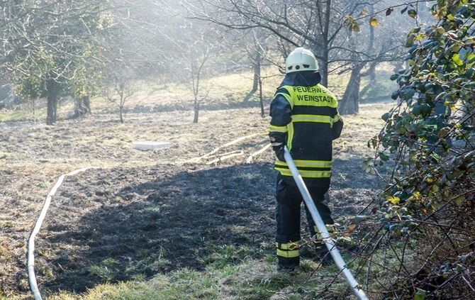 Über 400 qm Wiese und Sträucher in Brand - Bild 06_19