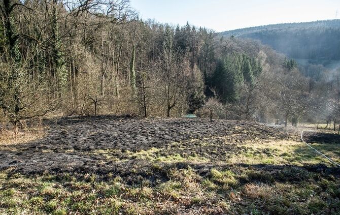 Über 400 qm Wiese und Sträucher in Brand - Bild 04_21