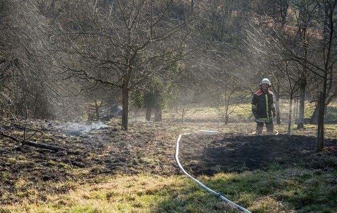 Über 400 qm Wiese und Sträucher in Brand - Bild 03_22