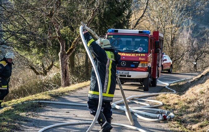 Über 400 qm Wiese und Sträucher in Brand - Bild 02_23