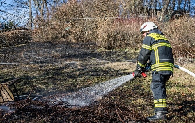 Über 400 qm Wiese und Sträucher in Brand - Bild 21_25