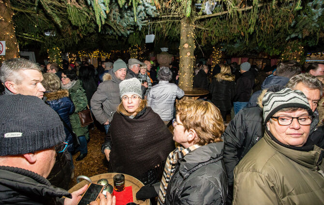 Adventswald verzückt - Bild 12_12