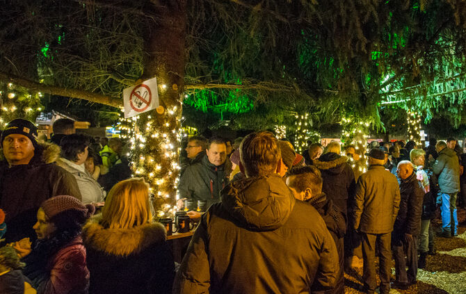 Adventswald verzückt - Bild 19_18