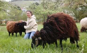 ff50b93e-e952-4406-8822-13787e6877a2.jpg_0