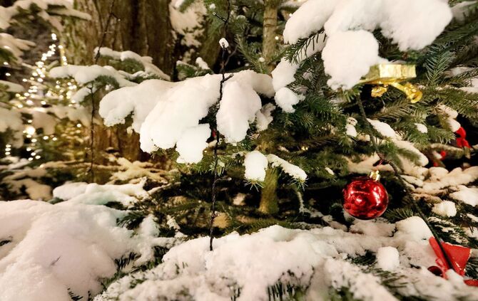 So kann's Weihnachten werden_17