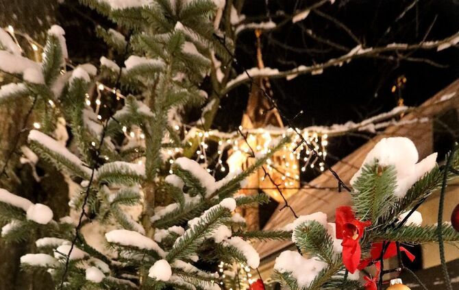 So kann's Weihnachten werden_25