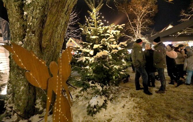 So kann's Weihnachten werden_30