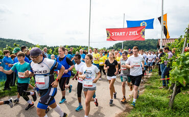 8. Wengert Wetzede - Bild 15_0