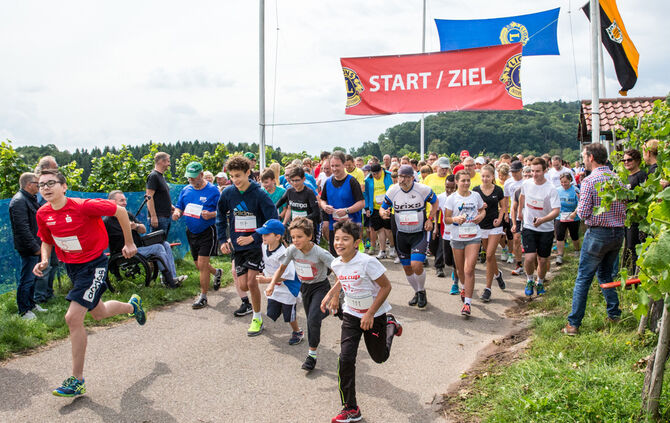 8. Wengert Wetzede - Bild 14_2